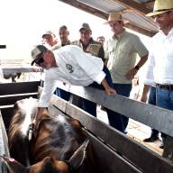 Dr. Daniel Prieto: “Levantar la vacunación contra la aftosa sería un error histórico”